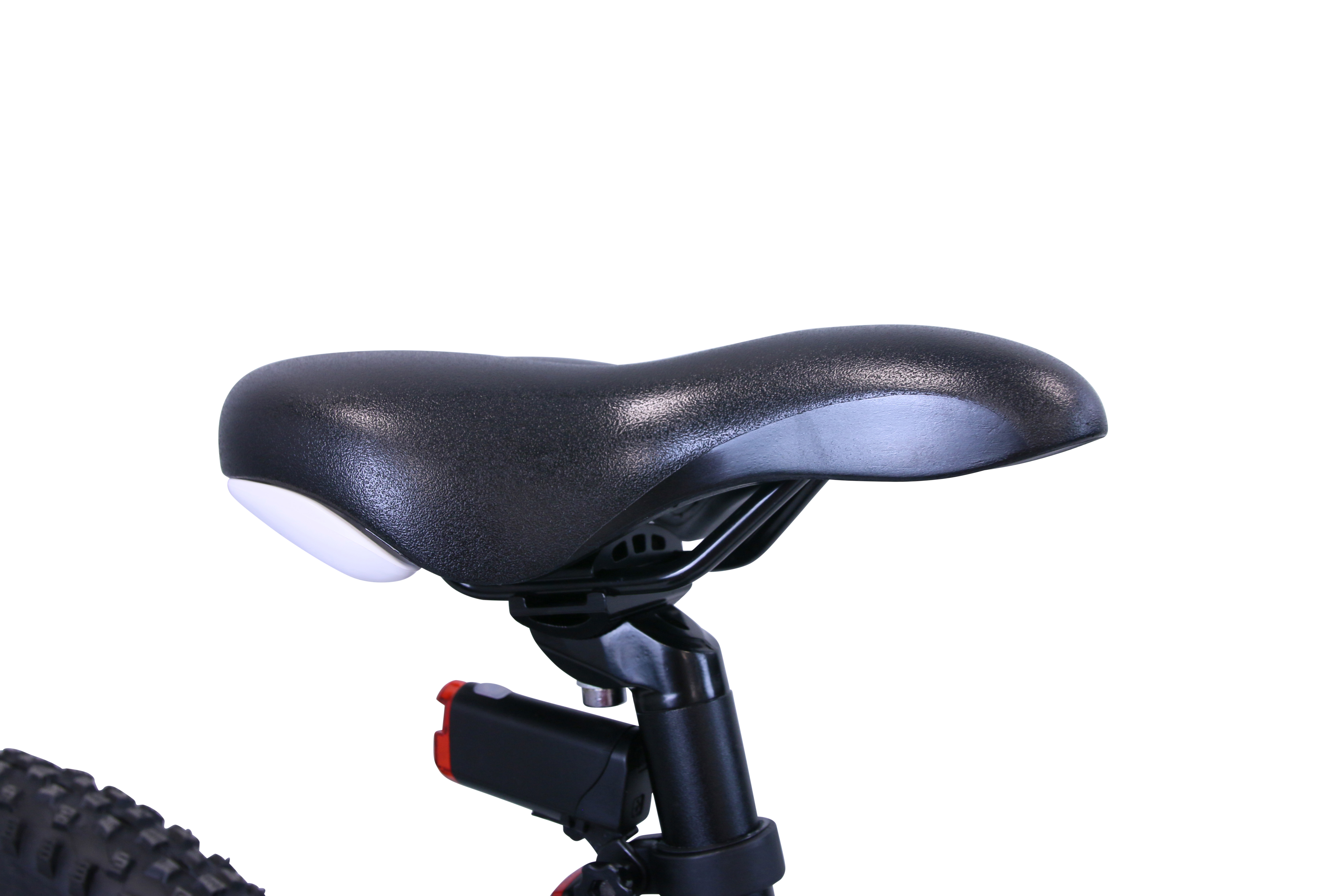 HAWK Mountain Trail Youth